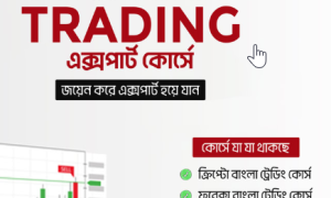 all in one Video Course Forex, Crypto, Binary,Trading Chart